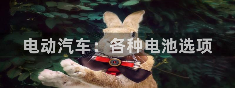 优发国际合并到哪里了啊