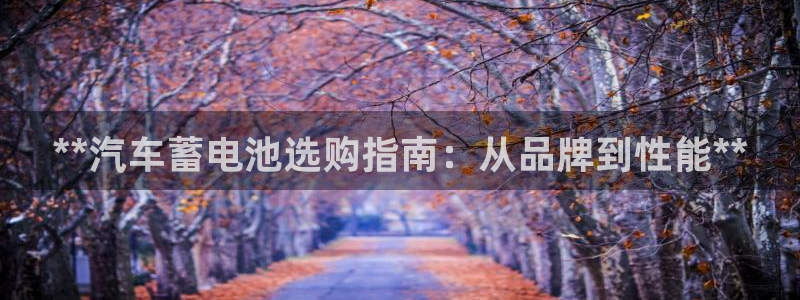 优发国际官网入口app下载苹果