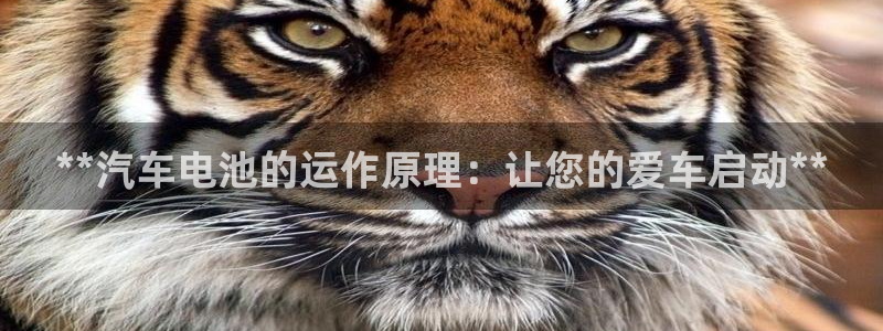 优发国际手机客户端怎么下载