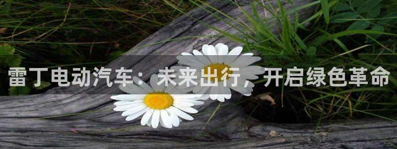 优发国际集团股份有限公司是国企吗