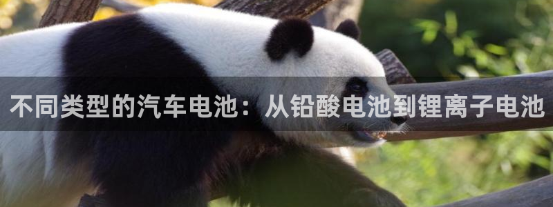 优发国际官网是多少号码