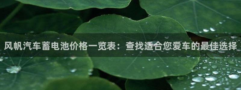优发国际登陆u
