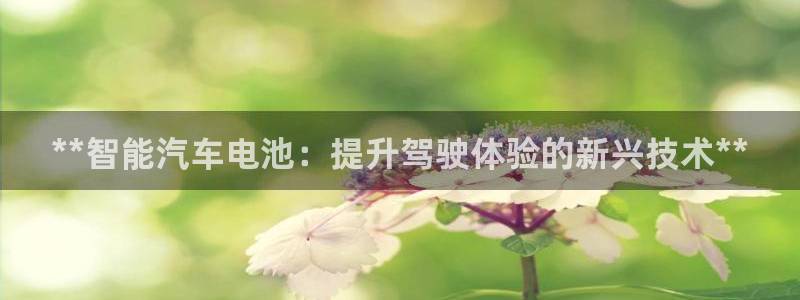 优发国际 干什么的
