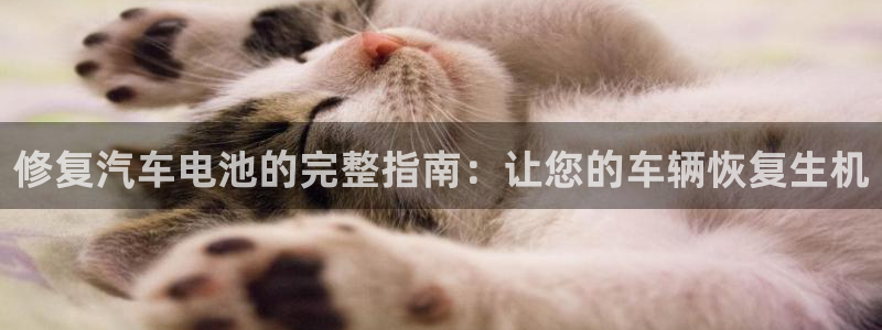 优发国际手机版下载安装