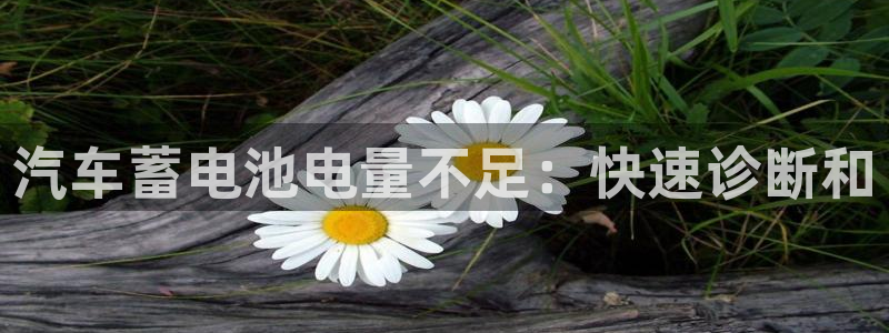 优发国际客服联系方式是什么