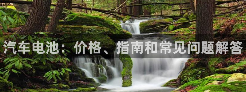 优发国际平台g80