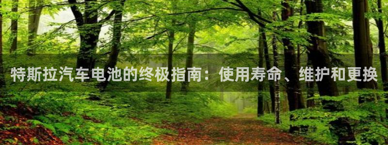 优发国际平台手机版下载安装