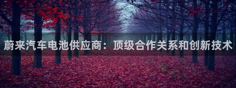 优发国际平台g8