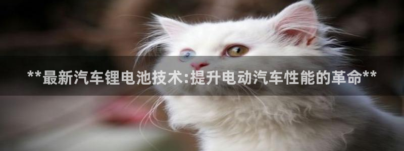 优发国际官网是多少