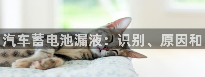 优发国际是什么