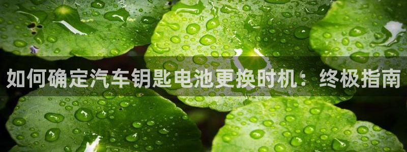 优发国际-触即发