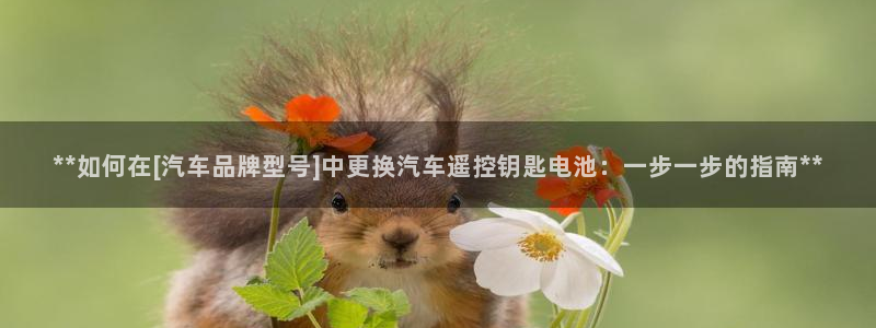 优发国际在哪里下载