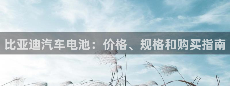 优发国际最新网站下载