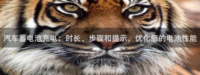优发国际手机客户端下载安装不了