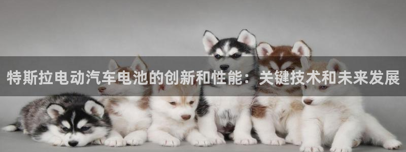 优发国际多少