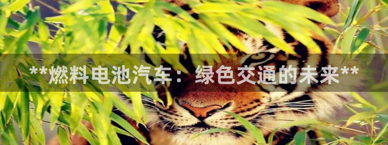 优发国际官网手机版代理