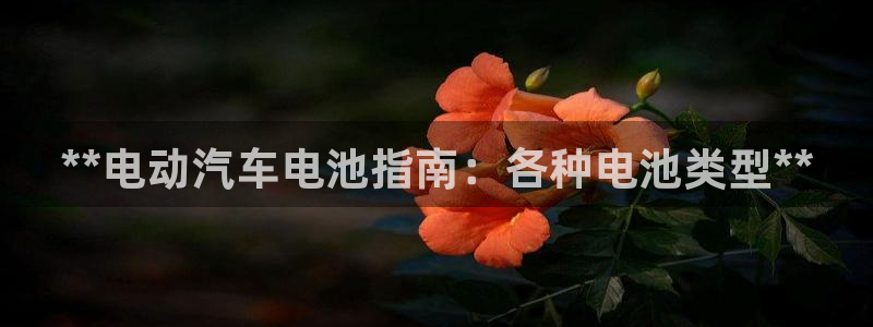 优发国际官网手机版app