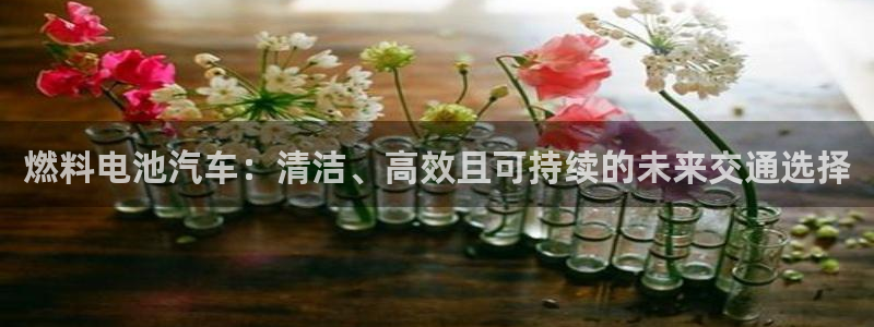 优发国际手机客户端下载安装