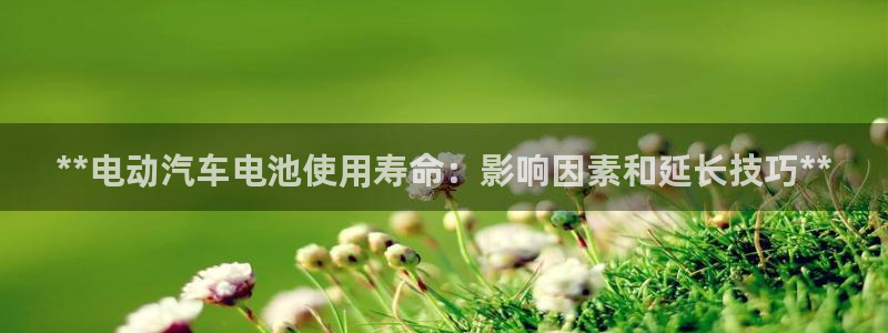 优发国际 干什么的
