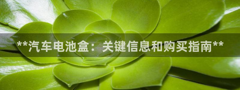 优发国际的官网是正品吗