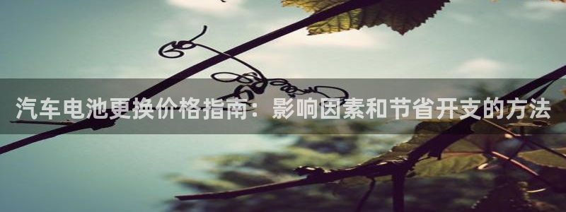 优发国际的官网是什么软件：汽车电池更换价格指南：影响因素和节省开支的方法