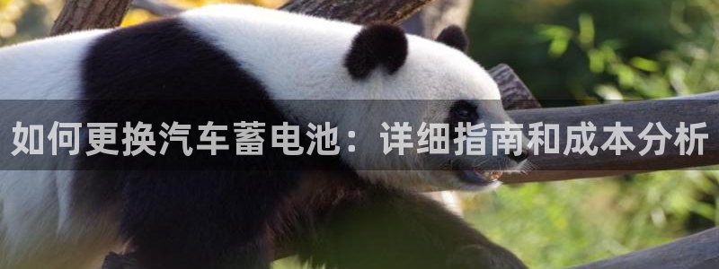 优发国际手机app下载安装苹果