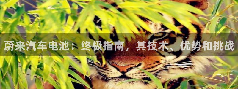 优发国际网官网17w8