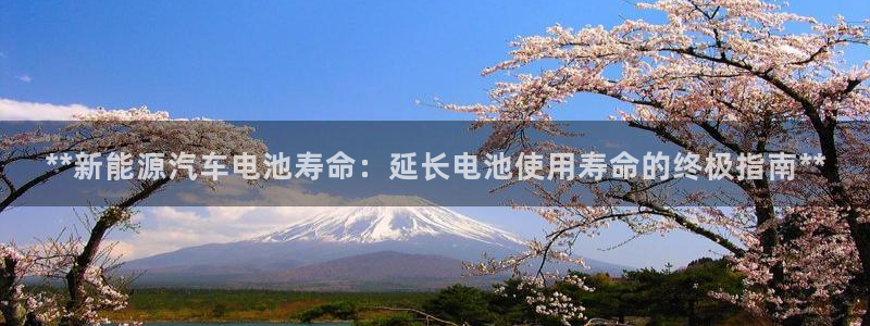 优发国际平台u8是什么