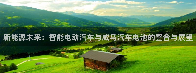 优发国际是大平台吗
