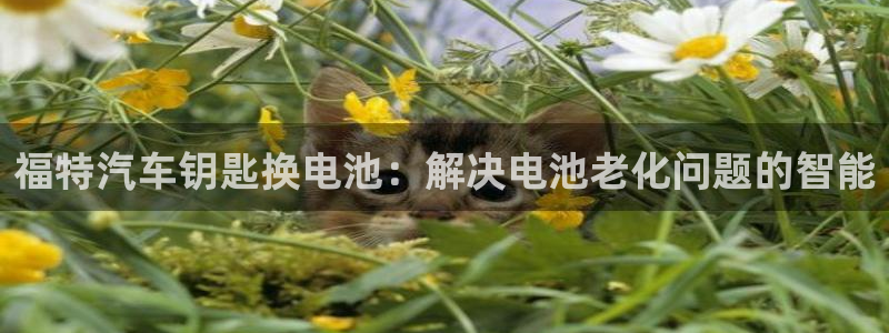优发国际平台网站