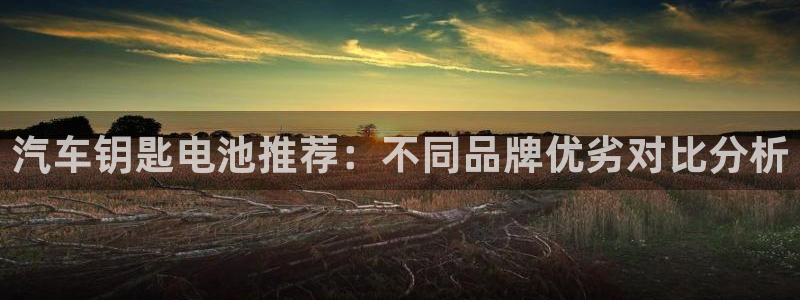 优发国际平台u8是什么软件：汽车钥匙电池推荐：不同品牌优劣对比分析