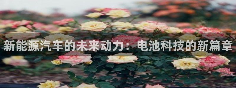 优发国际官网下载app