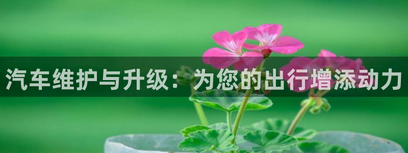 优发国际登陆：汽车维护与升级：为您的出行增添动力