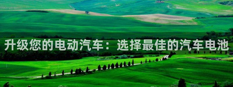 优发国际首页首页登录：升级您的电动汽车：选择最佳的汽车电池