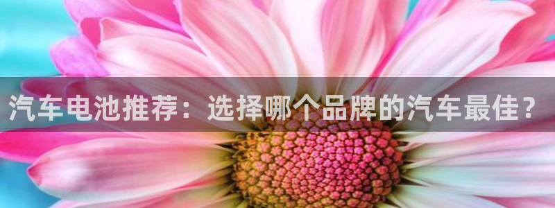 优发国际在哪里下载：汽车电池推荐：选择哪个品牌的汽车最佳？