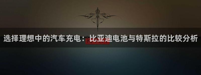优发国际 干什么的：选择理想中的汽车充电：比亚迪电池与特斯拉的比较分析