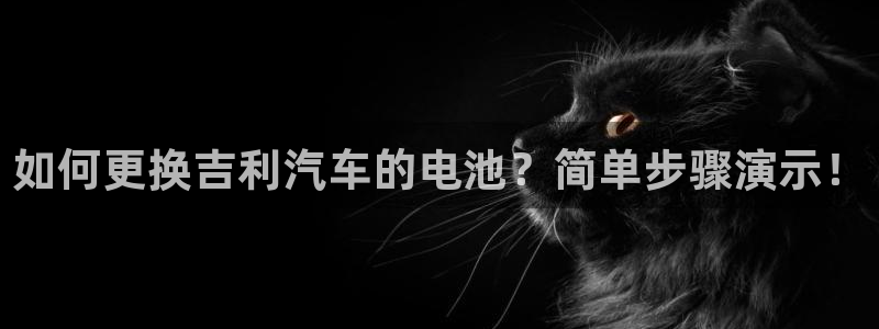优发国际登录r8：如何更换吉利汽车的电池？简单步骤演示！