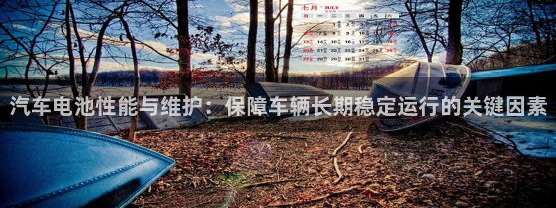 优发国际多少钱：汽车电池性能与维护：保障车辆长期稳定运行的关键因素