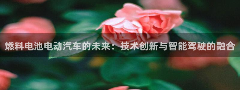 优发国际登录app：燃料电池电动汽车的未来：技术创新与智能驾驶的融合
