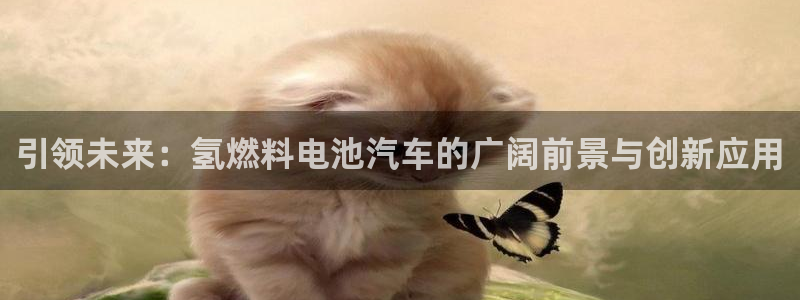 优发国际安卓版下载安装最新版：引领未来：氢燃料电池汽车的广阔前景与创新应用