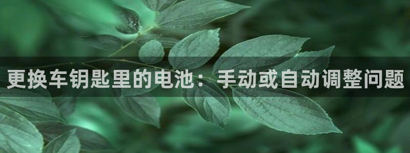 优发国际手机客户端下载安装苹果：更换车钥匙里的电池：手动或自动调整问题