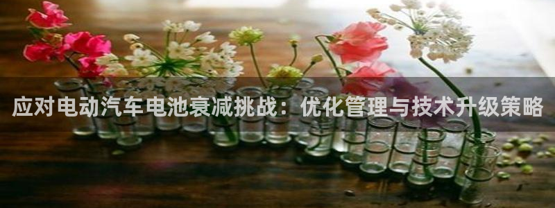 优发国际首页官网：应对电动汽车电池衰减挑战：优化管理与技术升级策略