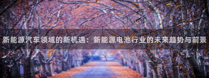 优发国际网站官网：新能源汽车领域的新机遇：新能源电池行业的未来趋势与前景
