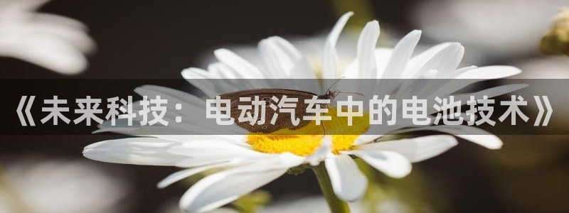 优发国际注册平台官网：《未来科技：电动汽车中的电池技术》