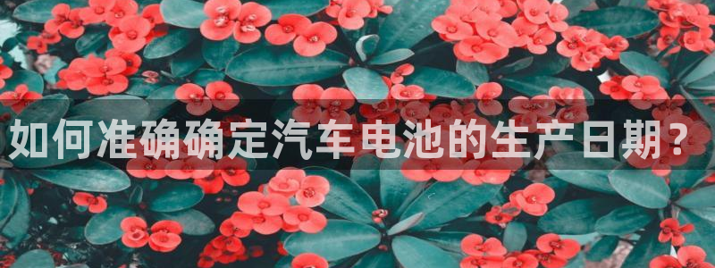 优发国际官网qy88：如何准确确定汽车电池的生产日期？