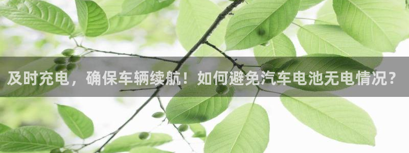 优发国际手机版网站：及时充电，确保车辆续