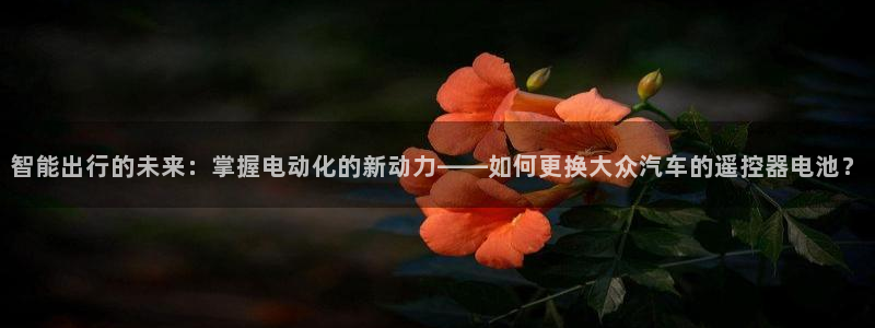优发国际登陆u：智能出行的未来：掌握电动化的新动力——如何更换大众汽车的遥控器电池？