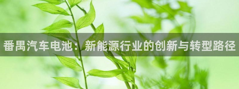 优发国际注册平台官网：番禺汽车电池：新能