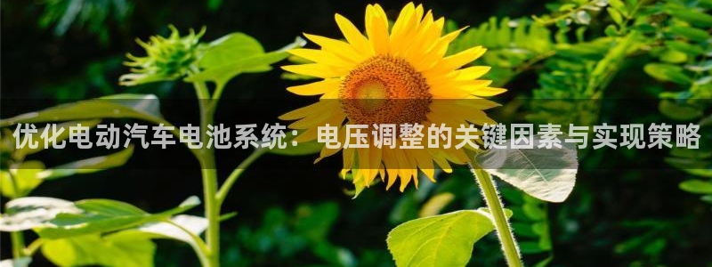 优发国际网官网17q8：优化电动汽车电池系统：电压调整的关键因素与实现策略