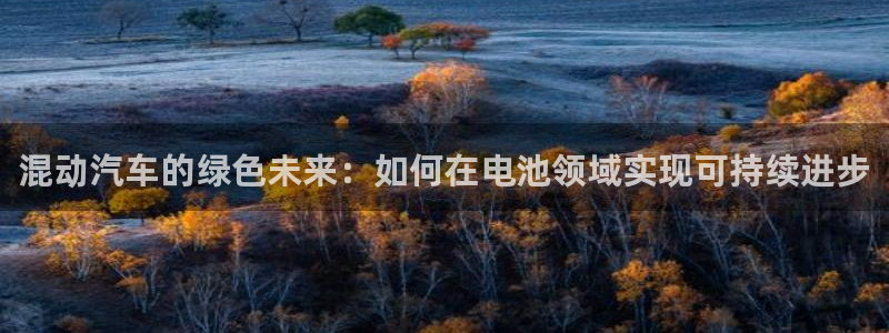 优发国际平台：混动汽车的绿色未来：如何在电池领域实现可持续进步